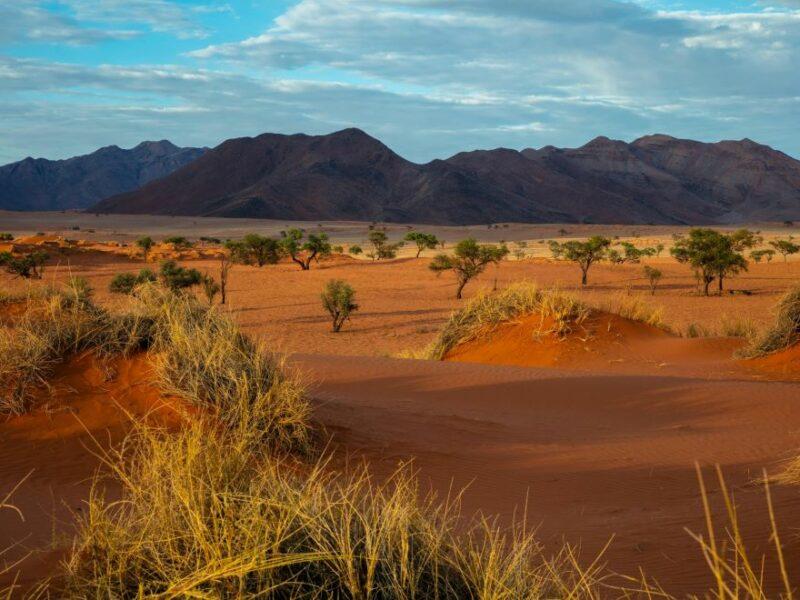 Namib Desert