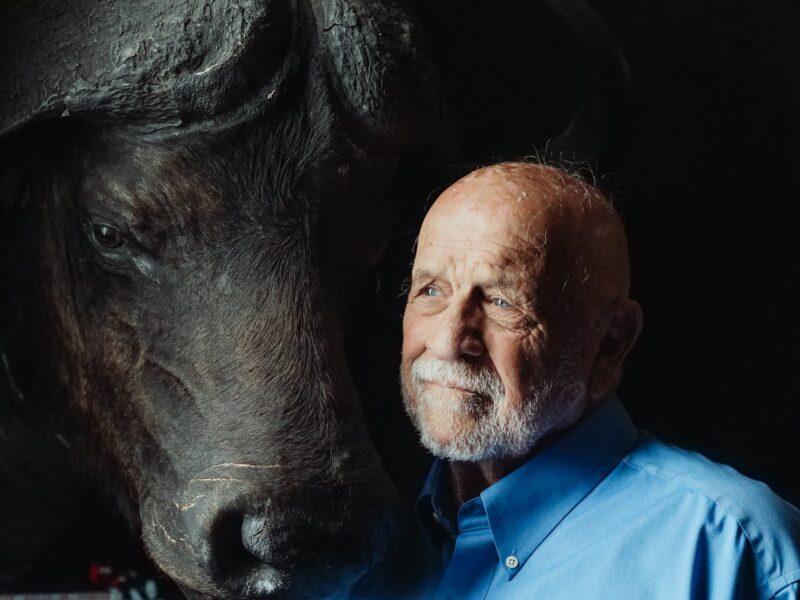 Man standing with African buffalo hunting trophy.