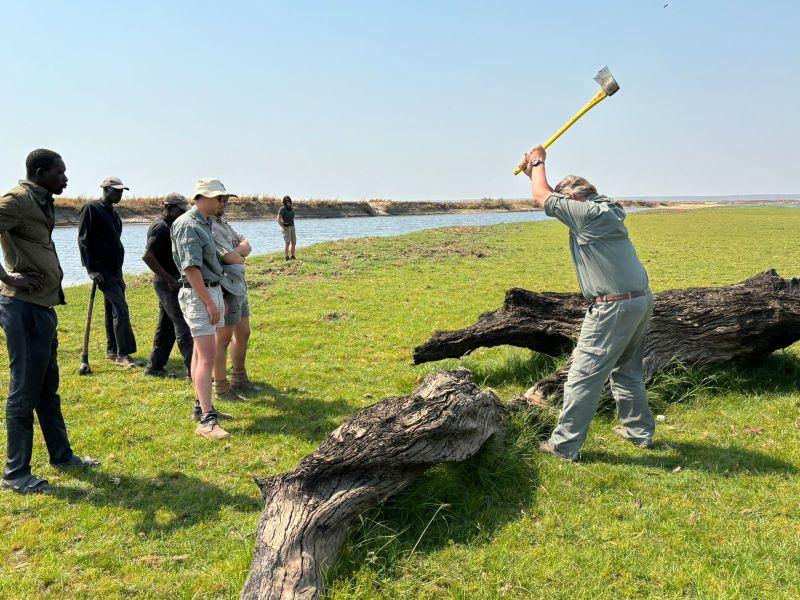 outfitter choosing wood to decorate his hunting lodge