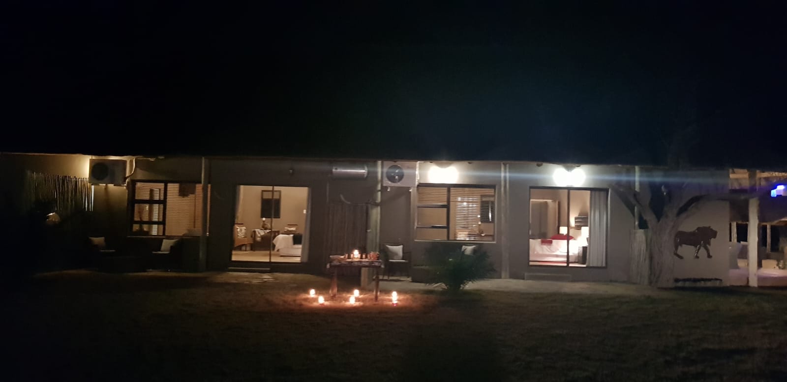 Leopard Hunting in Namibia & Brown Hyena Cancelation Hunt