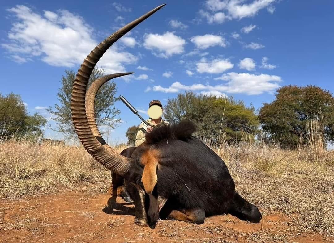 Leopard Hunting in Namibia & Brown Hyena Cancelation Hunt