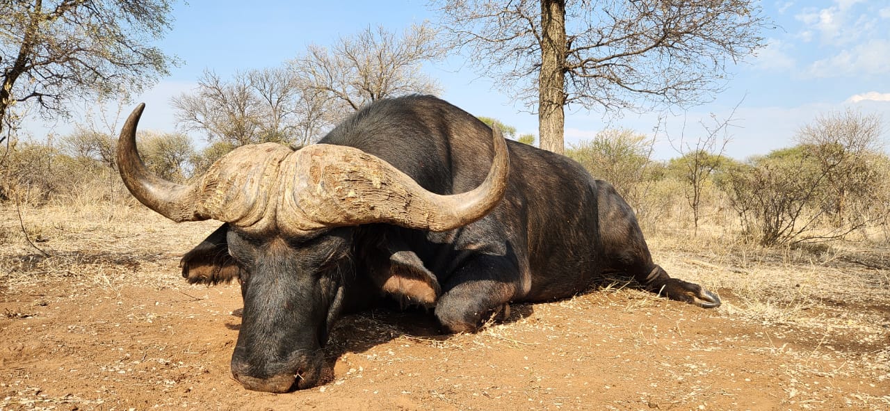 Leopard Hunting in Namibia & Brown Hyena Cancelation Hunt