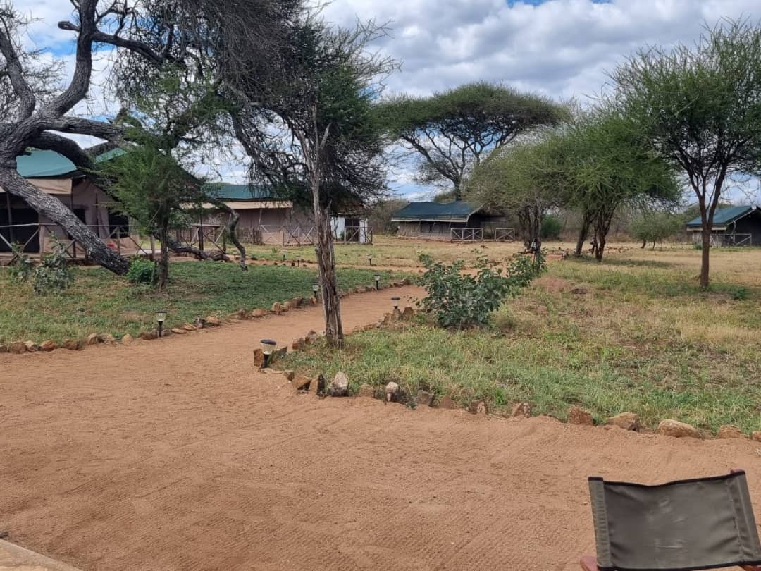 Leopard Hunting in Namibia & Brown Hyena Cancelation Hunt