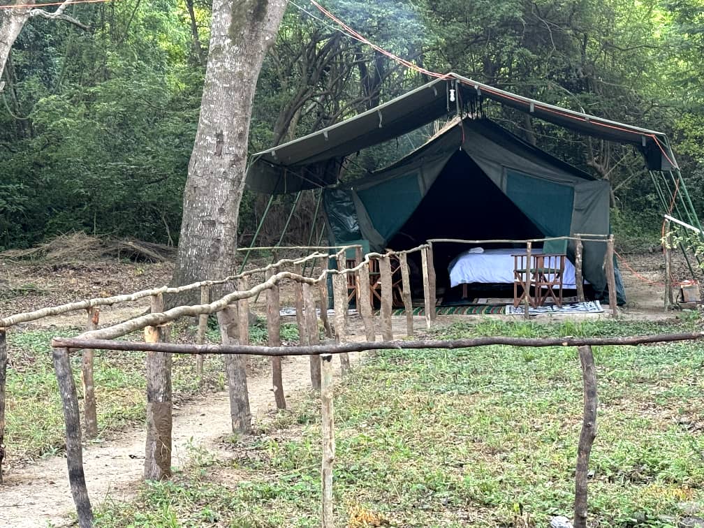 Leopard Hunting in Namibia & Brown Hyena Cancelation Hunt