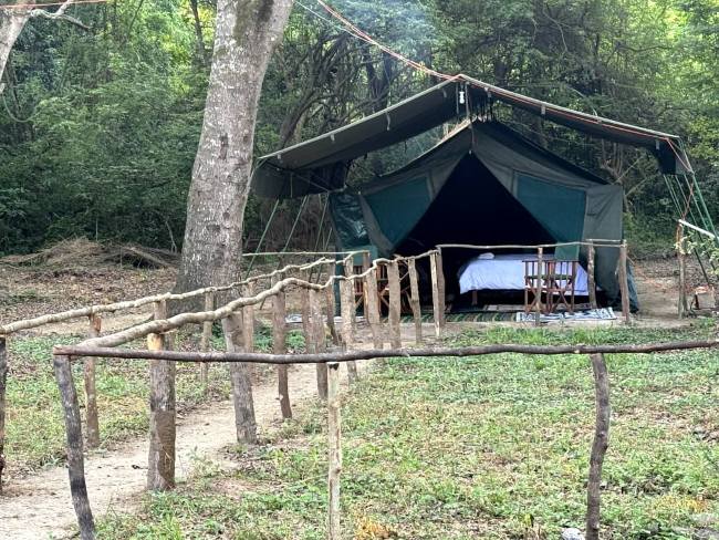 Leopard Hunting in Namibia & Brown Hyena Cancelation Hunt