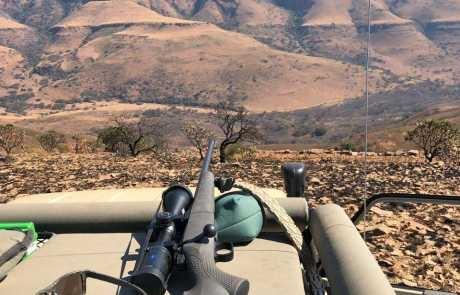 Leopard Hunting in Namibia & Brown Hyena Cancelation Hunt