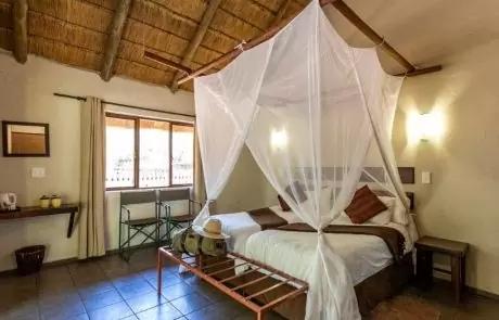 Leopard Hunting in Namibia & Brown Hyena Cancelation Hunt