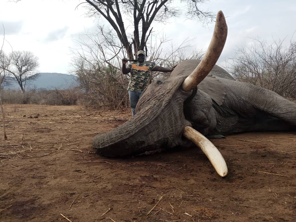 Leopard Hunting in Namibia & Brown Hyena Cancelation Hunt