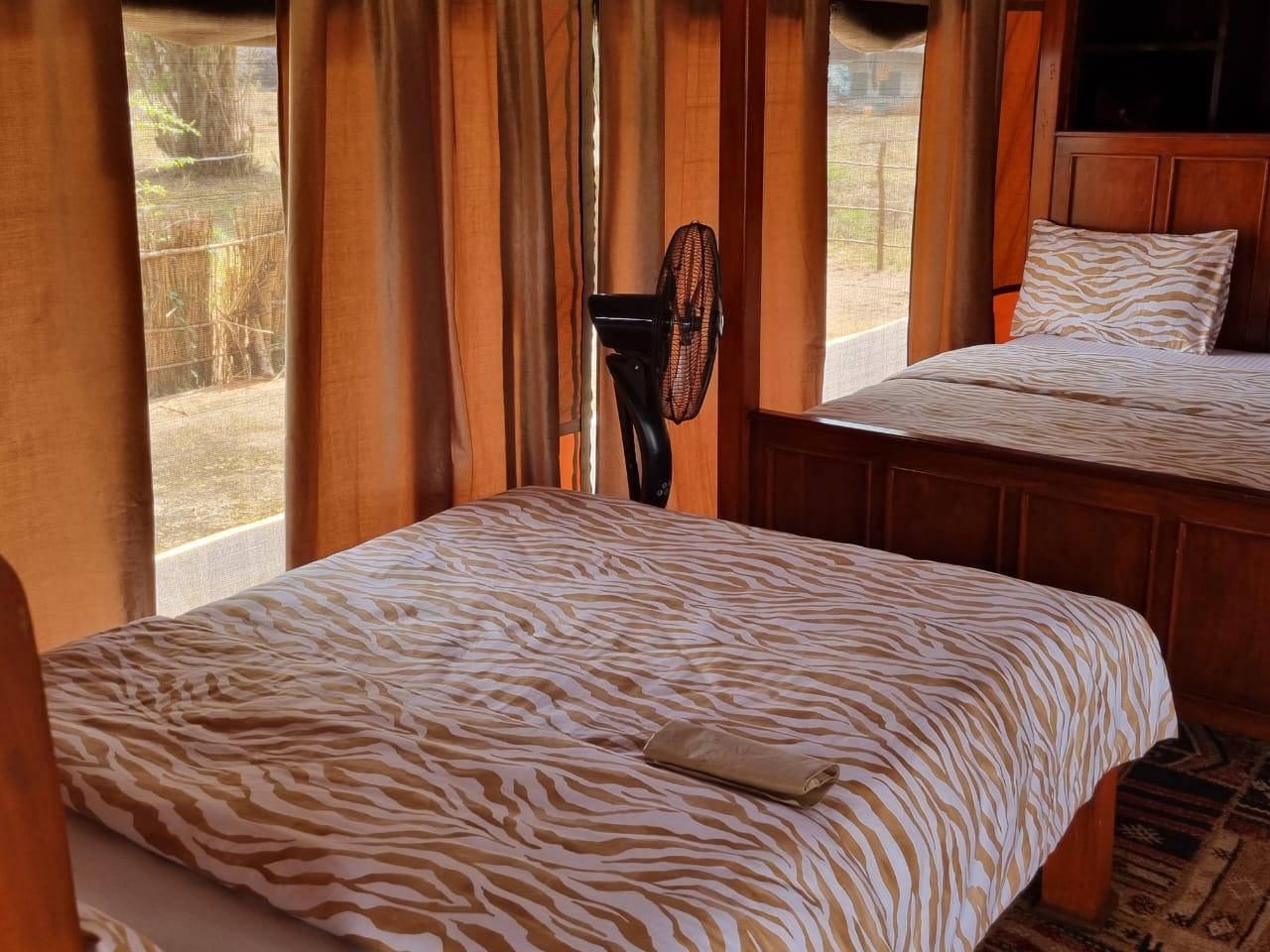 Leopard Hunting in Namibia & Brown Hyena Cancelation Hunt