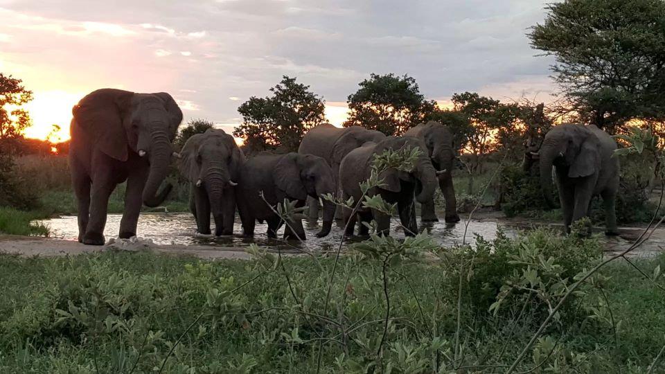 Leopard Hunting in Namibia & Brown Hyena Cancelation Hunt