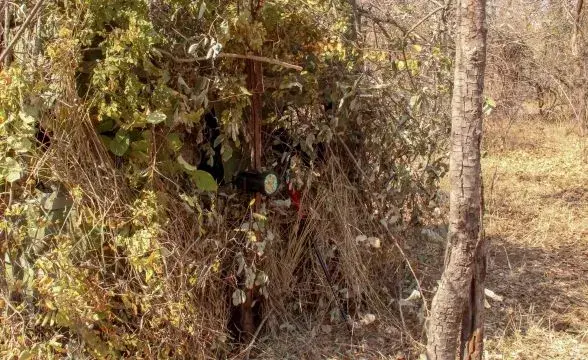 Leopard Hunting in Namibia & Brown Hyena Cancelation Hunt