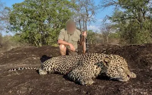 Leopard Hunting in Namibia & Brown Hyena Cancelation Hunt