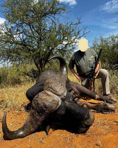 Leopard Hunting in Namibia & Brown Hyena Cancelation Hunt