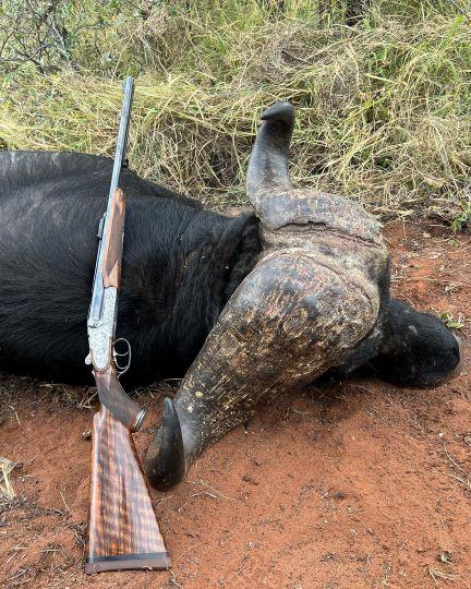 Leopard Hunting in Namibia & Brown Hyena Cancelation Hunt