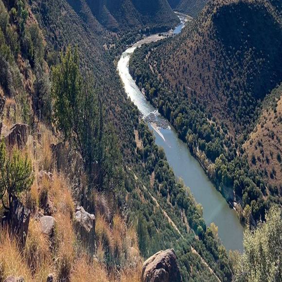 Cape Buffalo Hunt in South Africa 1 x Hunter 1 x PH