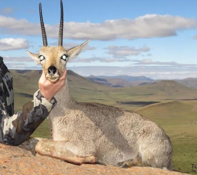 Leopard Hunting in Namibia & Brown Hyena Cancelation Hunt