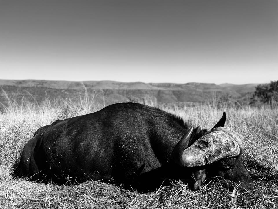 Leopard Hunting in Namibia & Brown Hyena Cancelation Hunt