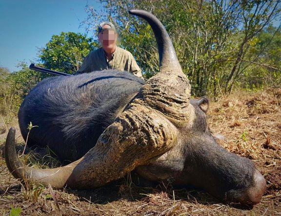 Leopard Hunting in Namibia & Brown Hyena Cancelation Hunt