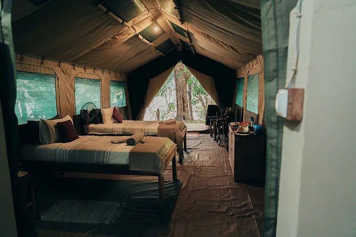 Leopard Hunting in Namibia & Brown Hyena Cancelation Hunt