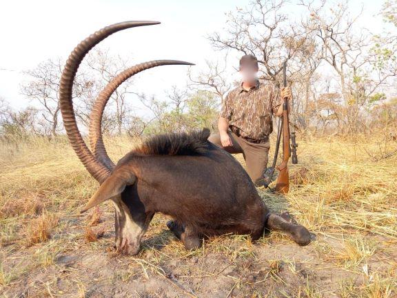 Tsessebe and Sable Hunting, 10 Days in Zimbabwe