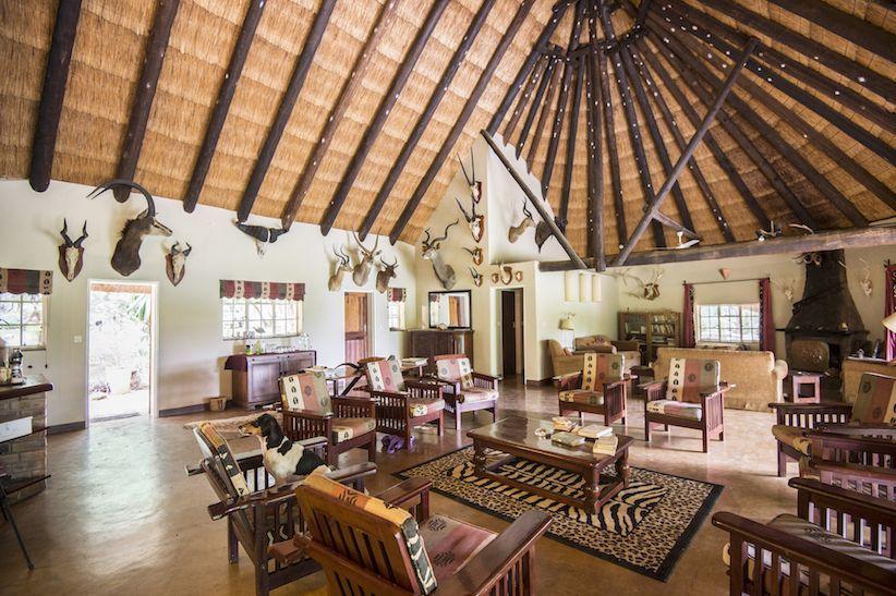 Leopard Hunting in Namibia & Brown Hyena Cancelation Hunt