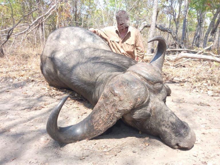 Hunt Tanzania, Rungwa for Cape Buffalo and Royal Antelope