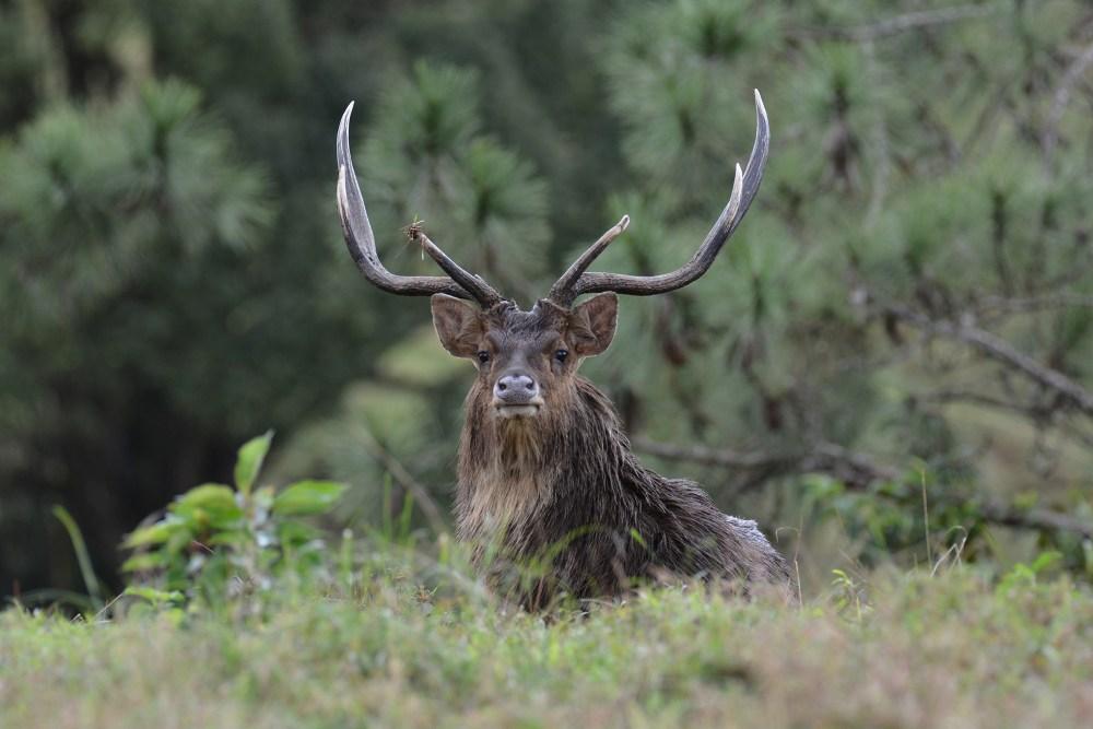 Leopard Hunting in Namibia & Brown Hyena Cancelation Hunt
