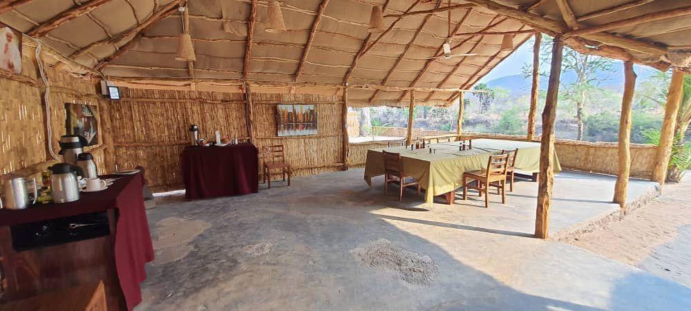 Leopard Hunting in Namibia & Brown Hyena Cancelation Hunt