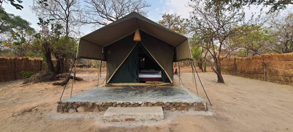 Leopard Hunting in Namibia & Brown Hyena Cancelation Hunt