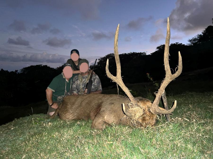 Leopard Hunting in Namibia & Brown Hyena Cancelation Hunt