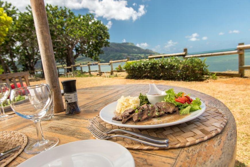 Leopard Hunting in Namibia & Brown Hyena Cancelation Hunt