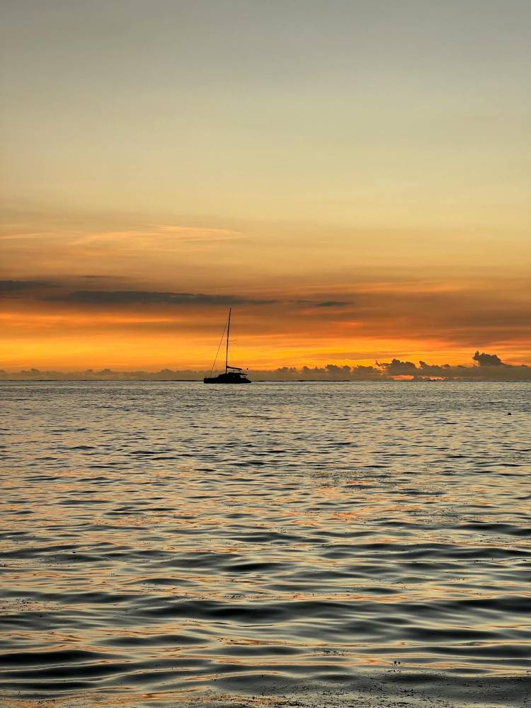 Leopard Hunting in Namibia & Brown Hyena Cancelation Hunt