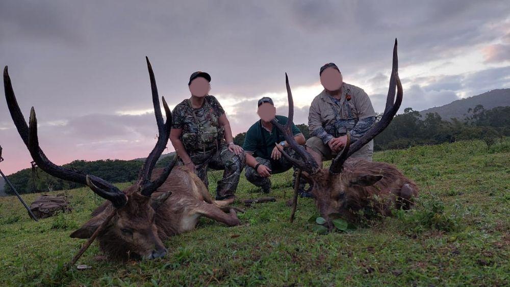 Enjoy Wild Boar & Rusa Deer Hunting in Mauritius