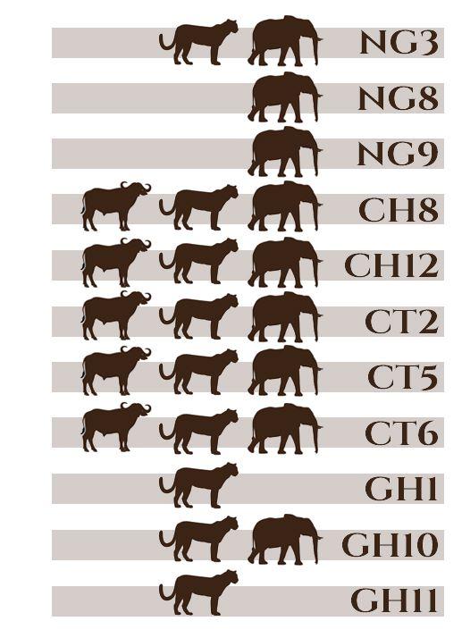 Leopard Hunting in Namibia & Brown Hyena Cancelation Hunt