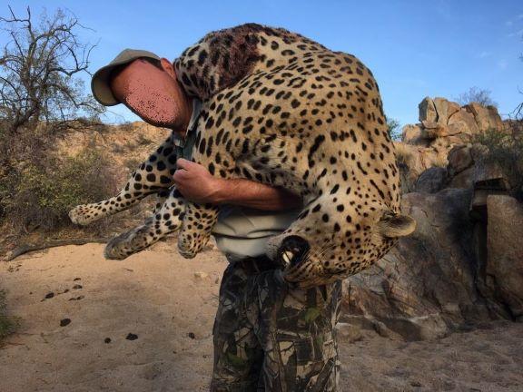 Leopard Hunting in Namibia & Brown Hyena Cancelation Hunt