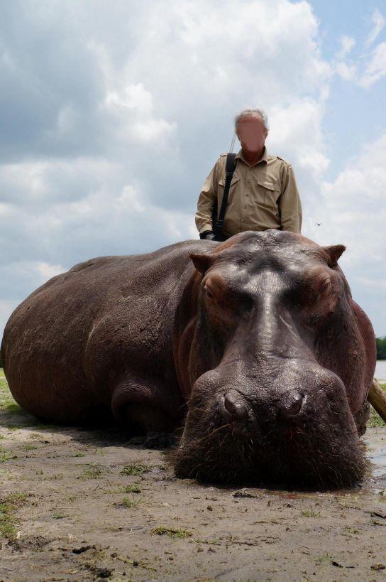 Leopard Hunting in Namibia & Brown Hyena Cancelation Hunt