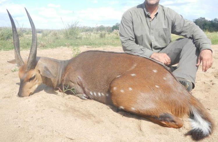 Leopard Hunting in Namibia & Brown Hyena Cancelation Hunt