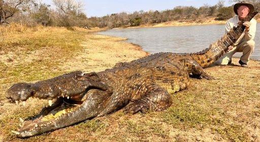 Leopard Hunting in Namibia & Brown Hyena Cancelation Hunt