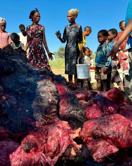 Leopard Hunting in Namibia & Brown Hyena Cancelation Hunt