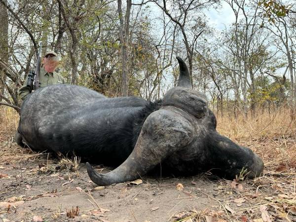 Leopard Hunting in Namibia & Brown Hyena Cancelation Hunt