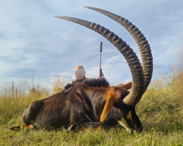 South Africa Hunting Trip Sable & Roan Combination Limpopo