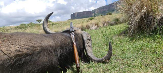 Leopard Hunting in Namibia & Brown Hyena Cancelation Hunt