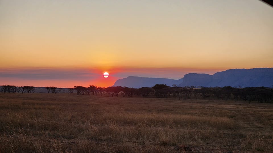 Leopard Hunting in Namibia & Brown Hyena Cancelation Hunt