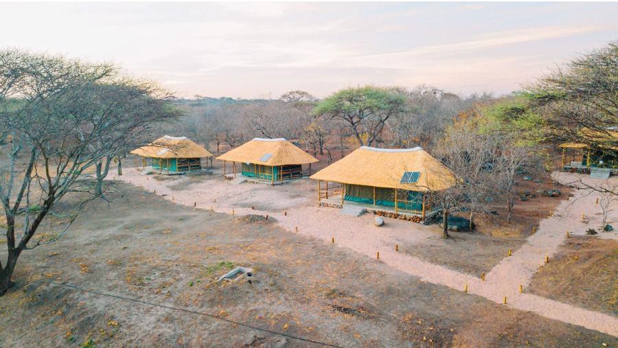 14 Day Leopard and Plains Game Hunting in Tanzania