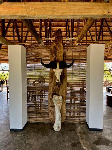 Leopard Hunting in Namibia & Brown Hyena Cancelation Hunt