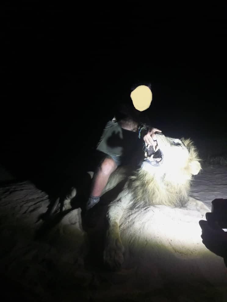 Leopard Hunting in Namibia & Brown Hyena Cancelation Hunt