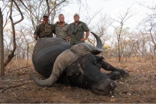 Epic Buffalo Hunting in Mozambique & Plains Game