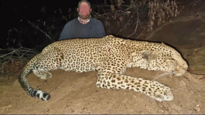 Leopard Hunting in Namibia & Brown Hyena Cancelation Hunt
