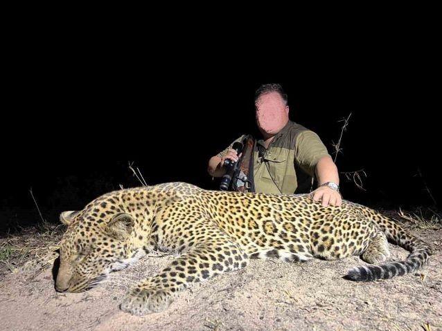 Leopard Hunting in Mozambique, Niassa Province