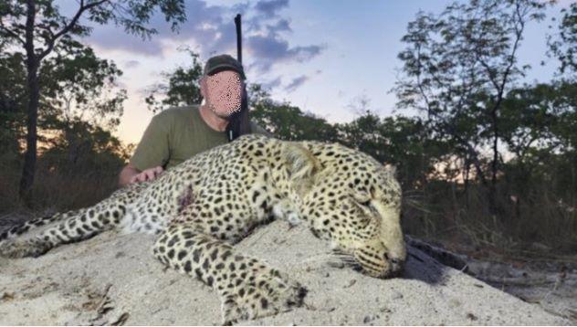 Leopard Hunting in Namibia & Brown Hyena Cancelation Hunt